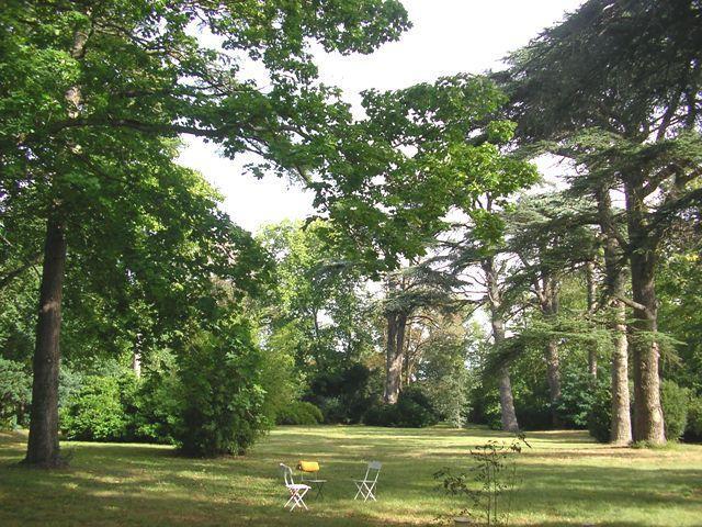 Chateau De Saint Michel De Lanes Εξωτερικό φωτογραφία